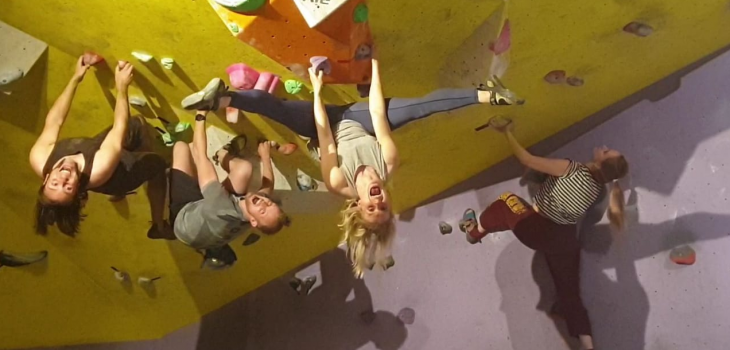 persons hanging in a climbing wall